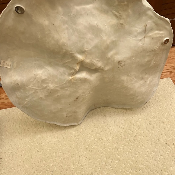 NWT (flaws!) Pottery Barn faux coral wall hanging - Picture 5 of 5